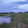 Mai Gương Nguyễn
