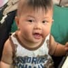 Rồng con đi học