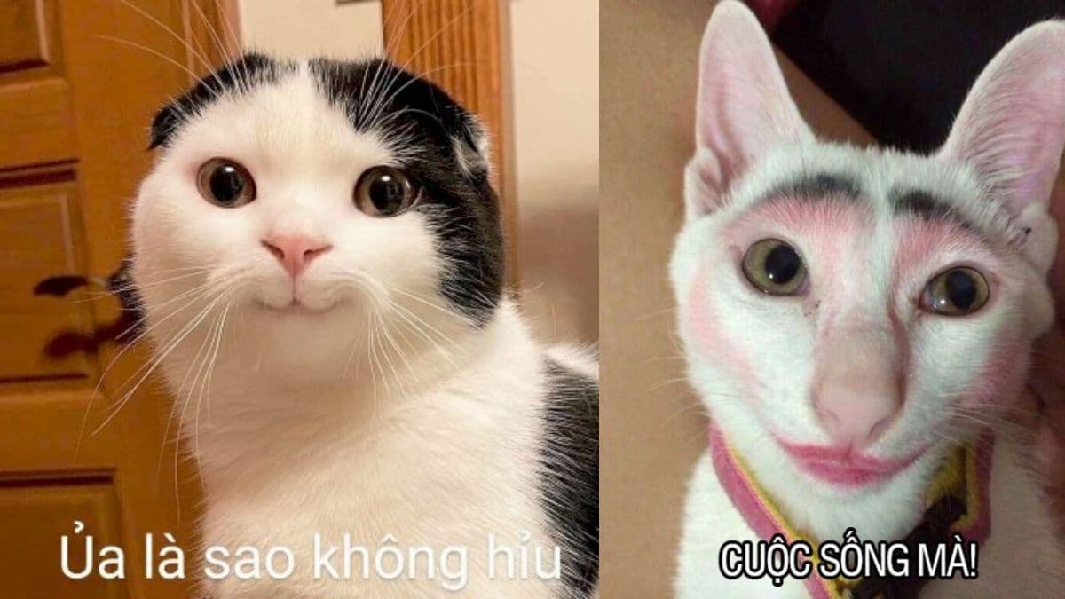 Chữa Khỏi Bệnh Yêu Đương Mù Quáng