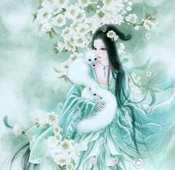 Sủng Phi