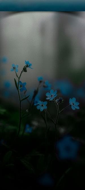 Trở Về Năm 1988