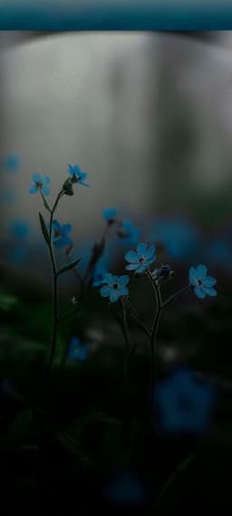 Trở Về Năm 1988